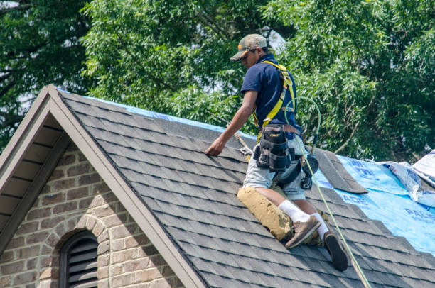 Best Local Roofing Companies  in Roseburg, OR